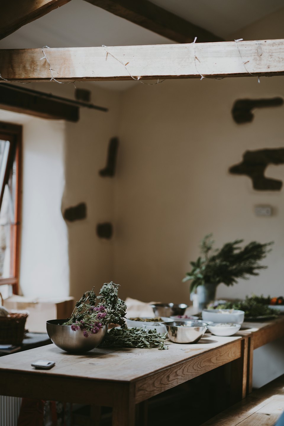 Herbes et ingrédients botaniques préparés sur une table en bois.